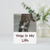ヨガキャット ポストカード (スタンド正面)
