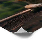 ヨガデジタルプリント ポスター (角)