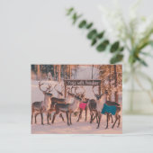 ヨガトナカイ・クリスマス ポストカード (スタンド正面)