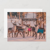 ヨガトナカイ・クリスマス ポストカード (正面/裏面)