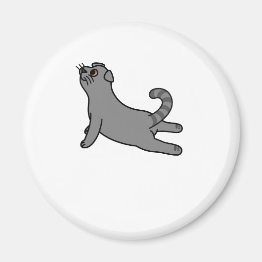 ヨガポーズスコティッシュフォールド猫 マグネット (正面)