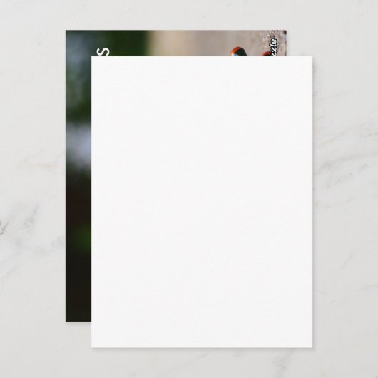 ヨガロック ポストカード (正面/裏面)