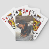 ヨガ犬 トランプ (裏面)