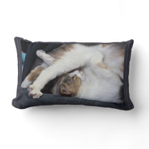 ヨガ「私は以前ほど柔軟ではない…」 キルマー