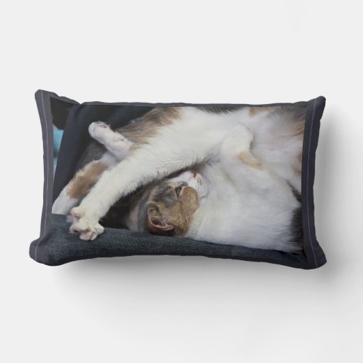 ヨガ「私は以前ほど柔軟ではない…」 キルマー ランバークッション (正面)