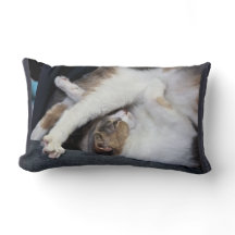 ヨガ「私は以前ほど柔軟ではない…」 キルマー