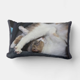 ヨガ「私は以前ほど柔軟ではない…」 キルマー ランバークッション