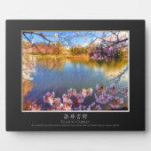 ヨシノサクラ フォトプラーク (正面)