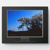 ヨシノ桜 フォトプラーク (正面)