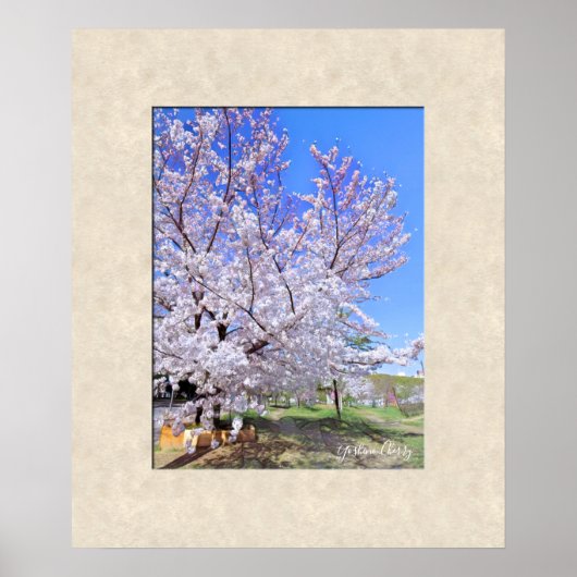 ヨシノ桜 ポスター (正面)