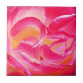 ヨセフのコートはタイル-上がりました タイル (正面)