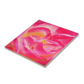 ヨセフのコートはタイル-上がりました タイル (側面)