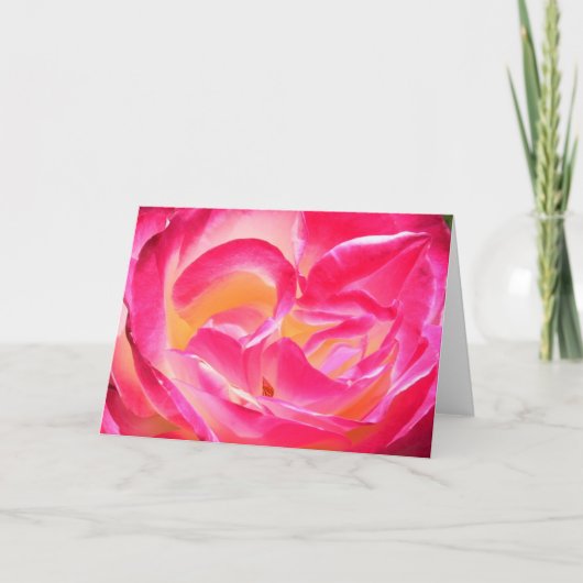 ヨセフのコート カード (正面)