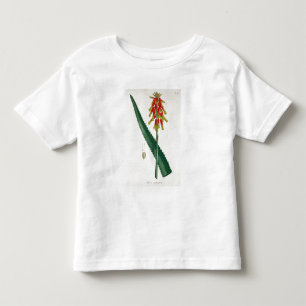 ヨセフRoques著「Phytographie Medicale」からのアロエ トドラーTシャツ