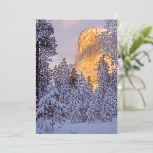 ヨセミテのエルキャピタンに冬の日差し (スタンド正面)