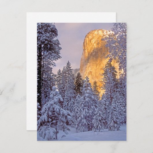 ヨセミテのエルキャピタンに冬の日差し ポストカード (正面/裏面)