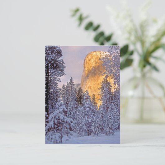 ヨセミテのエルキャピタンに冬の日差し ポストカード (スタンド正面)