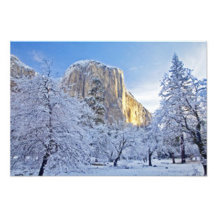 ヨセミテのエル・キャピタンを雪に覆われた木々越しに朝日が照らす フォトプリント           