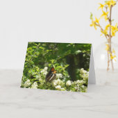 ヨセミテのカリフォルニアの姉妹蝶 カード (黄色い花)