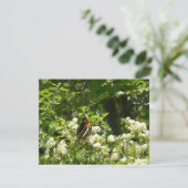 ヨセミテのカリフォルニアの姉妹蝶 カード (スタンド正面)