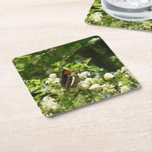 ヨセミテのカリフォルニアの姉妹蝶 スクエアペーパーコースター (アングル)