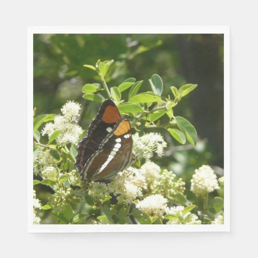 ヨセミテのカリフォルニアの姉妹蝶 スタンダードランチョンナプキン (正面)