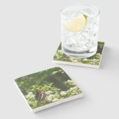 ヨセミテのカリフォルニアの姉妹蝶 ストーンコースター (横)