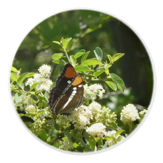 ヨセミテのカリフォルニアの姉妹蝶 セラミックノブ (正面)