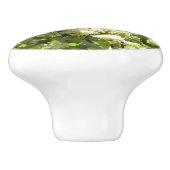 ヨセミテのカリフォルニアの姉妹蝶 セラミックノブ (側面)