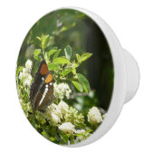 ヨセミテのカリフォルニアの姉妹蝶 セラミックノブ (右)