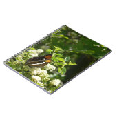 ヨセミテのカリフォルニアの姉妹蝶 ノートブック (左側)