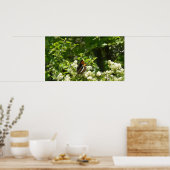 ヨセミテのカリフォルニアの姉妹蝶 ポスター (キッチン)