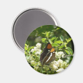 ヨセミテのカリフォルニアの姉妹蝶 マグネット (正面/裏面)