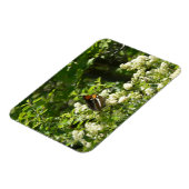 ヨセミテのカリフォルニアの姉妹蝶 マグネット (左側)