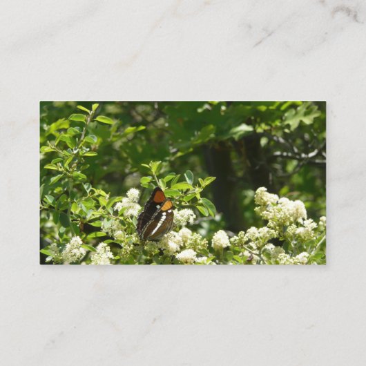 ヨセミテのカリフォルニアの姉妹蝶 名刺 (裏面)