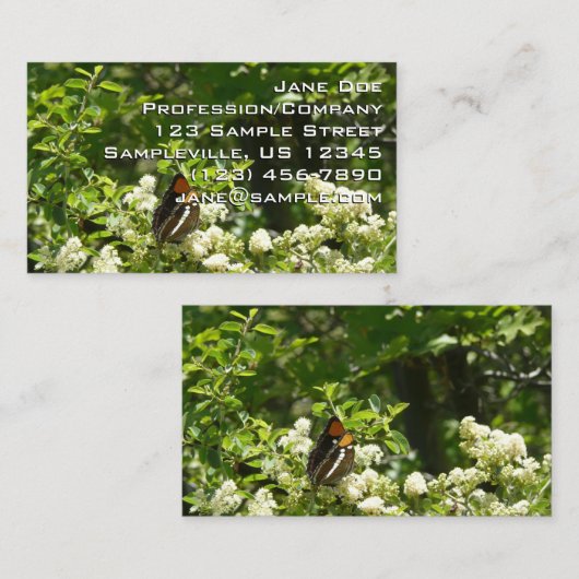 ヨセミテのカリフォルニアの姉妹蝶 名刺 (正面/裏面)