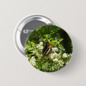 ヨセミテのカリフォルニアの姉妹蝶 缶バッジ (正面&裏面)