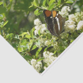 ヨセミテのカリフォルニアの姉妹蝶 薄葉紙 (詳細)