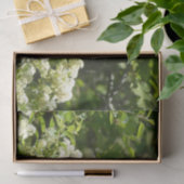 ヨセミテのカリフォルニアの姉妹蝶 薄葉紙 (ギフト)