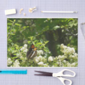 ヨセミテのカリフォルニアの姉妹蝶 薄葉紙 (クラフト)