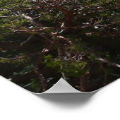 ヨセミテのシエラネバダ山脈II ポスター (角)