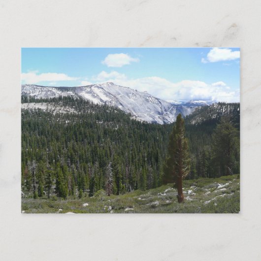 ヨセミテのシエラネバダ山脈II ポストカード (正面)