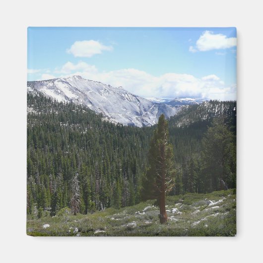 ヨセミテのシエラネバダ山脈II マグネット (正面)