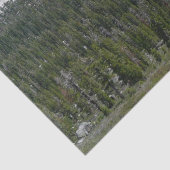 ヨセミテのシエラネバダ山脈II 薄葉紙 (詳細)