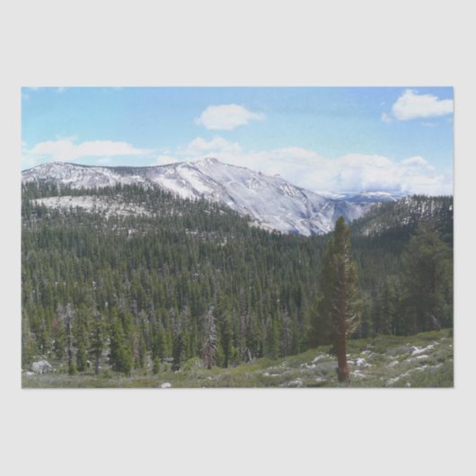 ヨセミテのシエラネバダ山脈II 薄葉紙 (正面)