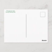 ヨセミテのヘッチ・ヘッチーのオシャニーシー・ダム ポストカード (裏面)