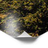 ヨセミテのポスター フォトプリント            (角)