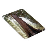 ヨセミテのマリポサグローブのジャイアントセコイア マグネット (右側)