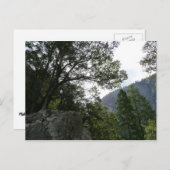 ヨセミテのヴァーナル滝への小道の朝 ポストカード (正面/裏面)