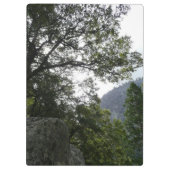 ヨセミテのヴェルナル滝への道の朝 クリップボード (裏面)